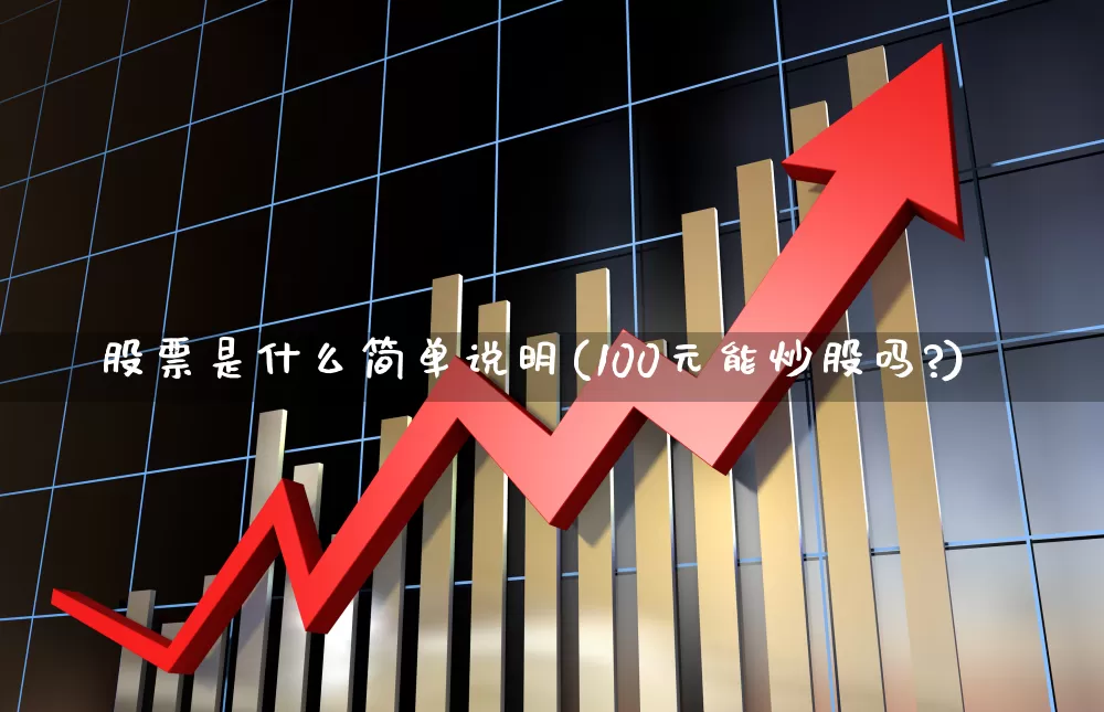 股票是什么简单说明(100元能炒股吗?)_https://www.hhem8.com_科创板_第1张