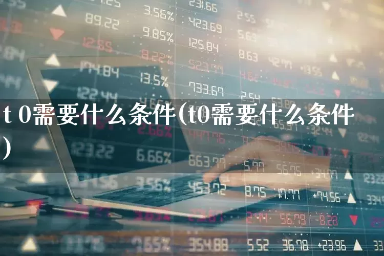 t 0需要什么条件(t0需要什么条件)_https://www.hhem8.com_北交所_第1张