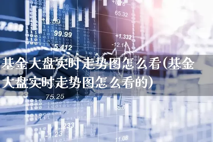 基金大盘实时走势图怎么看(基金大盘实时走势图怎么看的)_https://www.hhem8.com_科创板_第1张