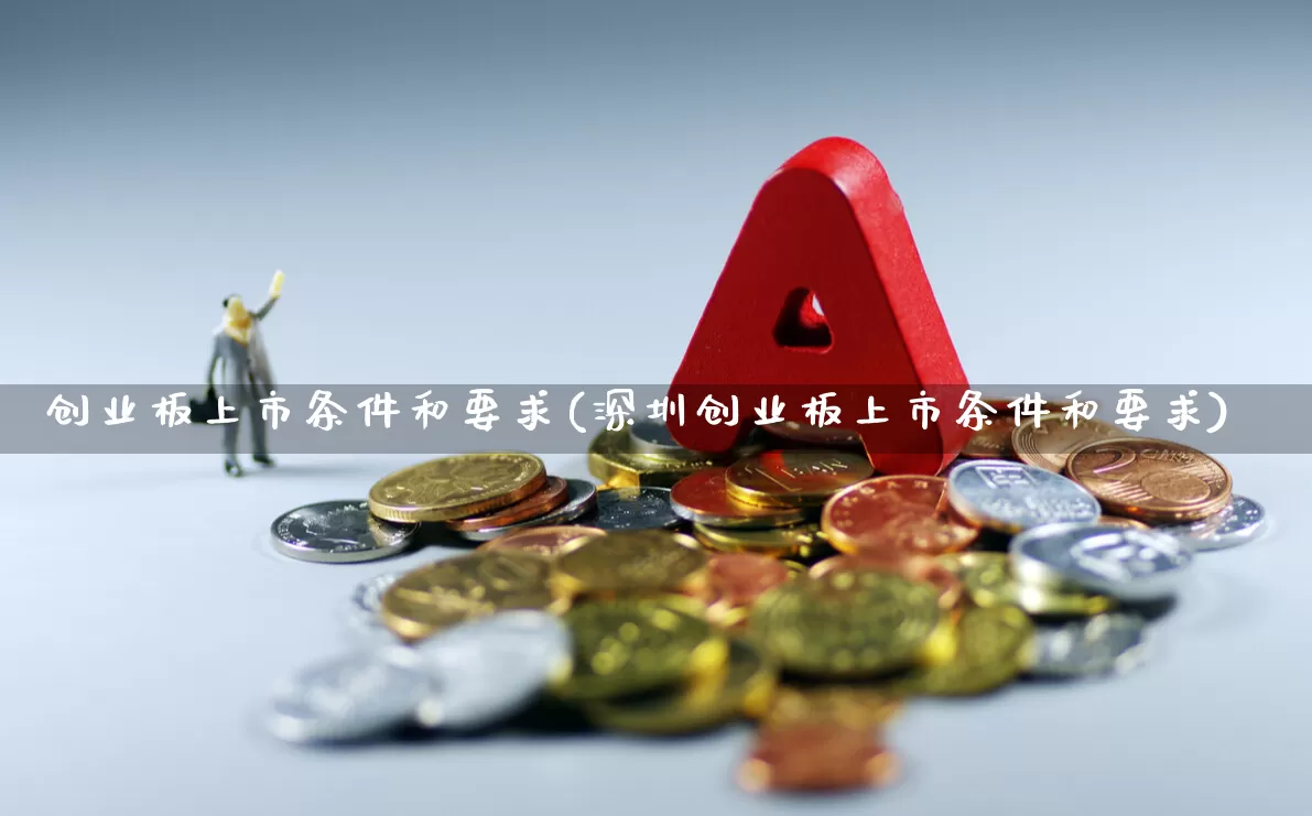 创业板上市条件和要求(深圳创业板上市条件和要求)_https://www.hhem8.com_北交所_第1张
