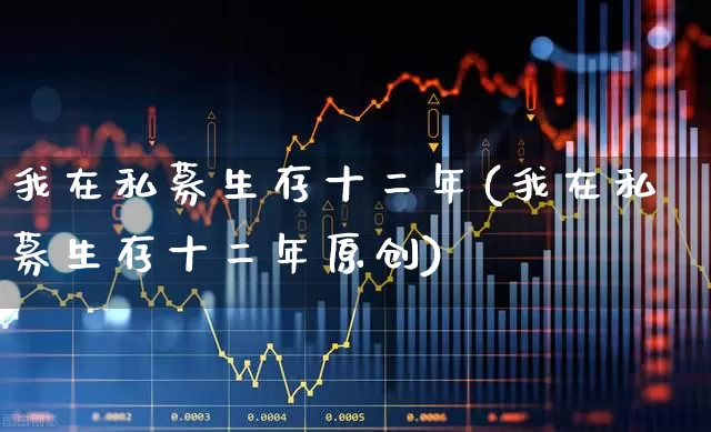 我在私募生存十二年(我在私募生存十二年原创)_https://www.hhem8.com_深交所_第1张