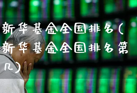 新华基金全国排名(新华基金全国排名第几)_https://www.hhem8.com_上交所_第1张