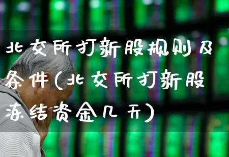 北交所打新股规则及条件(北交所打新股冻结资金几天)_https://www.hhem8.com_科创板_第1张
