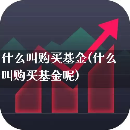 什么叫购买基金(什么叫购买基金呢)_https://www.hhem8.com_科创板_第1张