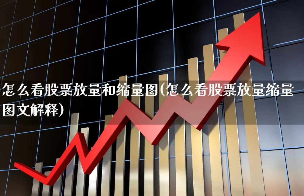 怎么看股票放量和缩量图(怎么看股票放量缩量图文解释)_https://www.hhem8.com_北交所_第1张