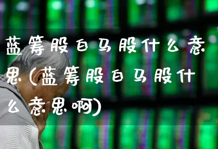 蓝筹股白马股什么意思(蓝筹股白马股什么意思啊)_https://www.hhem8.com_创业板_第1张