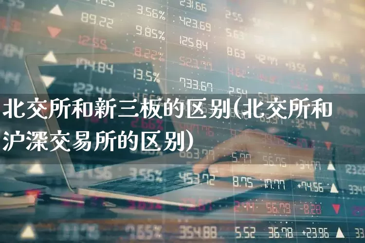 北交所和新三板的区别(北交所和沪深交易所的区别)_https://www.hhem8.com_北交所_第1张