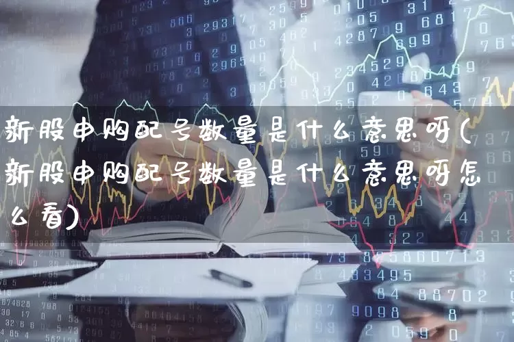 新股申购配号数量是什么意思呀(新股申购配号数量是什么意思呀怎么看)_https://www.hhem8.com_上交所_第1张
