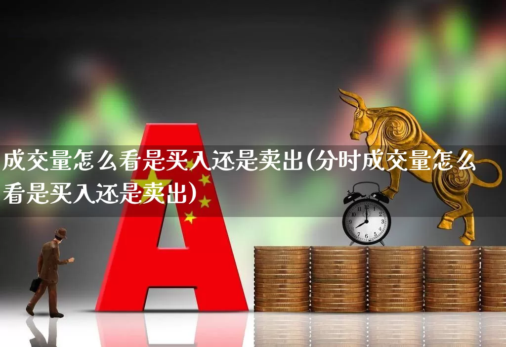 成交量怎么看是买入还是卖出(分时成交量怎么看是买入还是卖出)_https://www.hhem8.com_上交所_第1张