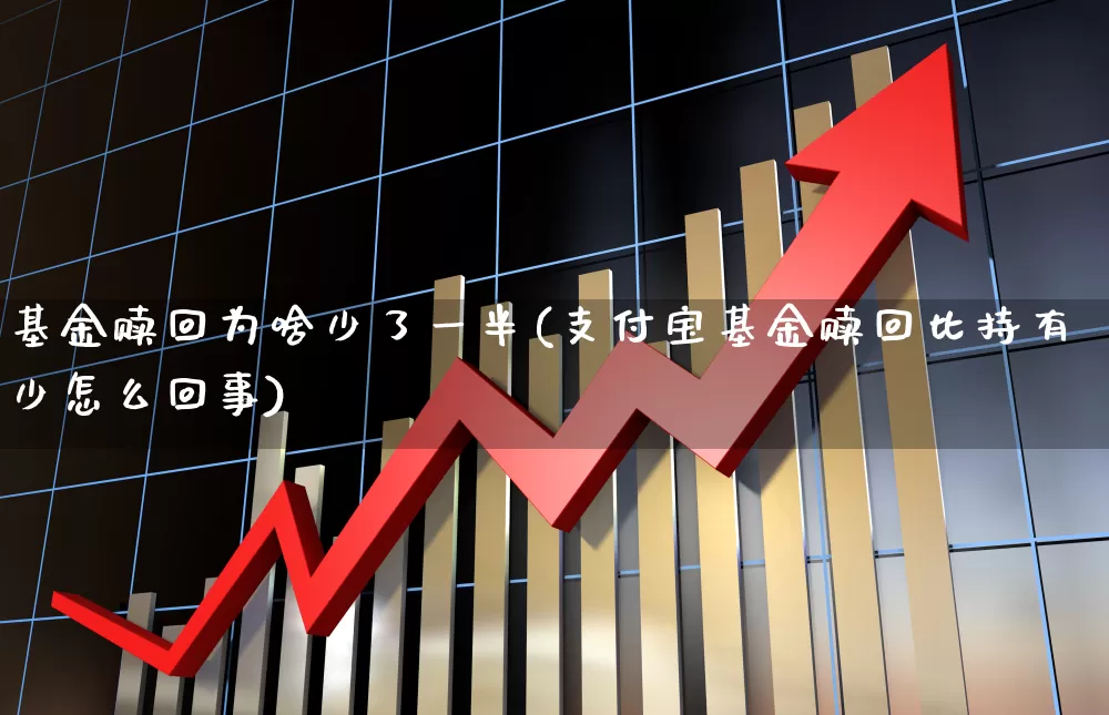 基金赎回为啥少了一半(支付宝基金赎回比持有少怎么回事)_https://www.hhem8.com_北交所_第1张