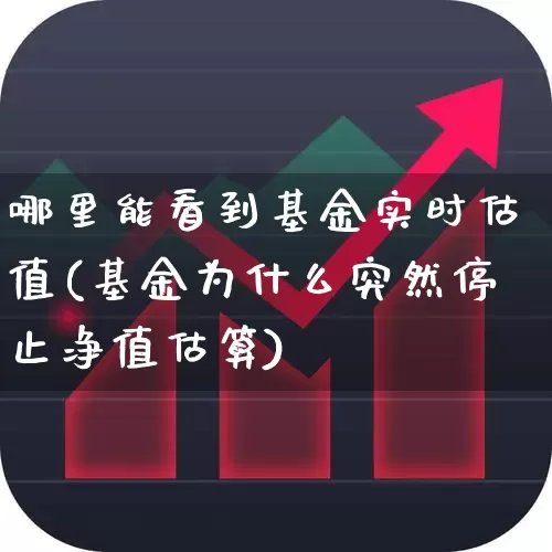 哪里能看到基金实时估值(基金为什么突然停止净值估算)_https://www.hhem8.com_科创板_第1张