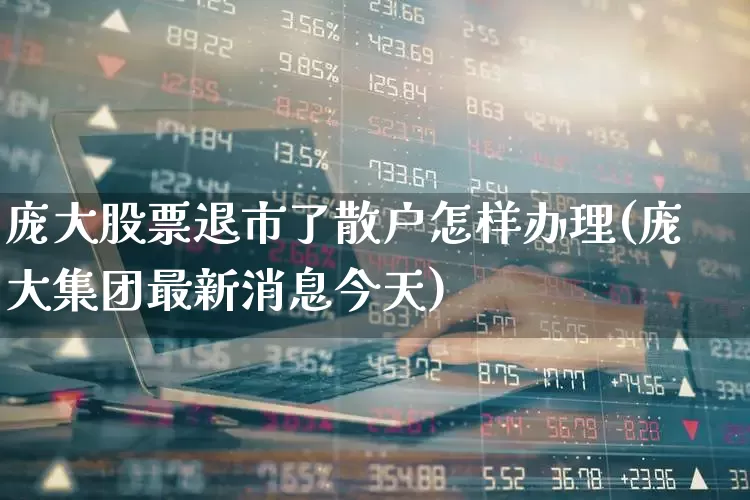 庞大股票退市了散户怎样办理(庞大集团最新消息今天)_https://www.hhem8.com_深交所_第1张
