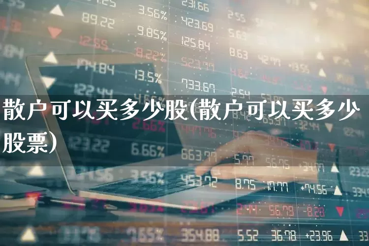 散户可以买多少股(散户可以买多少股票)_https://www.hhem8.com_科创板_第1张