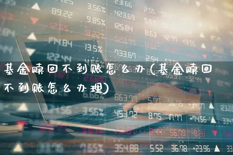 基金赎回不到账怎么办(基金赎回不到账怎么办理)_https://www.hhem8.com_北交所_第1张