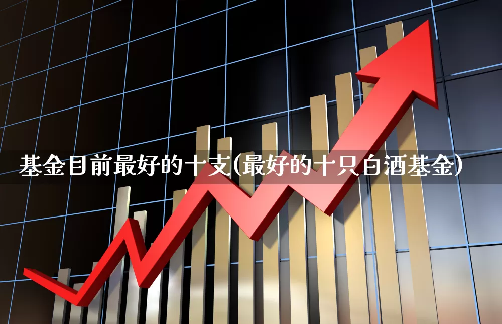 基金目前最好的十支(最好的十只白酒基金)_https://www.hhem8.com_创业板_第1张