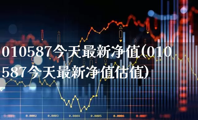 010587今天最新净值(010587今天最新净值估值)_https://www.hhem8.com_上交所_第1张