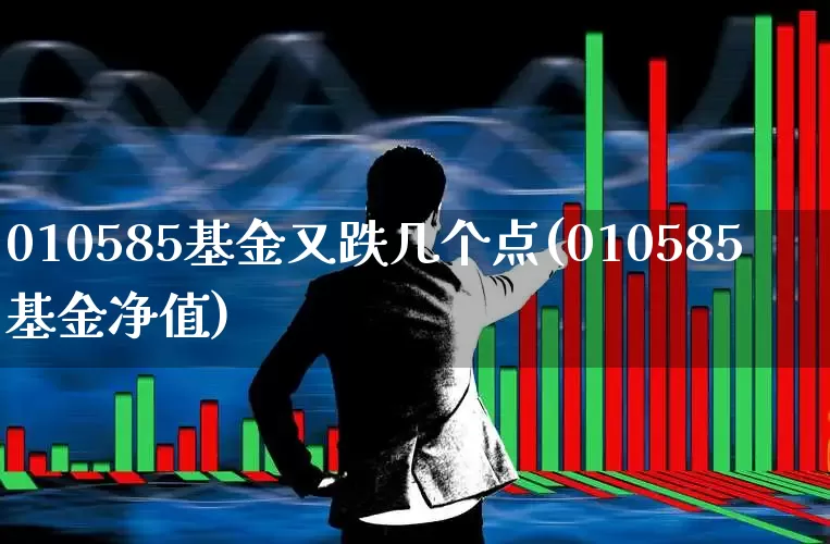 010585基金又跌几个点(010585基金净值)_https://www.hhem8.com_科创板_第1张