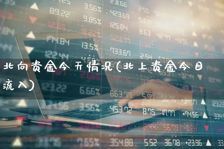 北向资金今天情况(北上资金今日流入)_https://www.hhem8.com_科创板_第1张