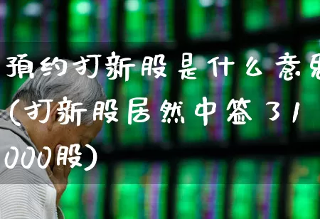 预约打新股是什么意思(打新股居然中签了1000股)_https://www.hhem8.com_科创板_第1张