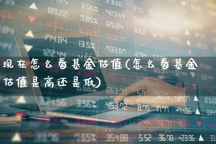 现在怎么看基金估值(怎么看基金估值是高还是低)_https://www.hhem8.com_深交所_第1张