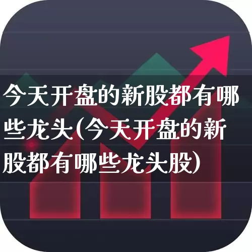 今天开盘的新股都有哪些龙头(今天开盘的新股都有哪些龙头股)_https://www.hhem8.com_科创板_第1张