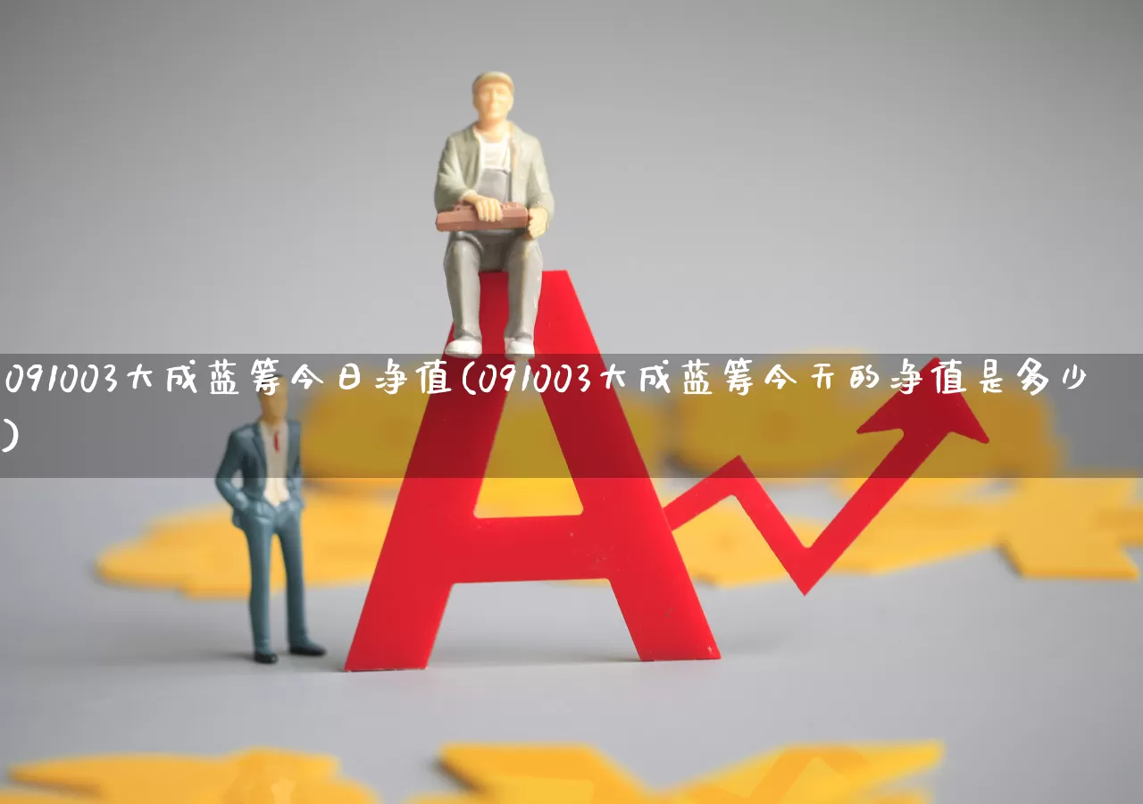 091003大成蓝筹今日净值(091003大成蓝筹今天的净值是多少)_https://www.hhem8.com_北交所_第1张
