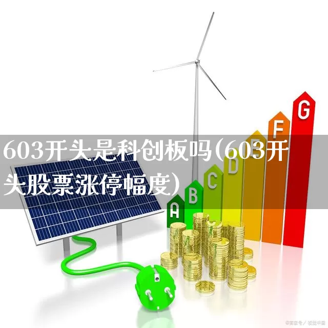603开头是科创板吗(603开头股票涨停幅度)_https://www.hhem8.com_科创板_第1张