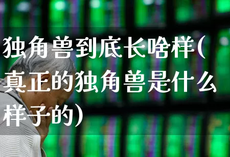 独角兽到底长啥样(真正的独角兽是什么样子的)_https://www.hhem8.com_北交所_第1张