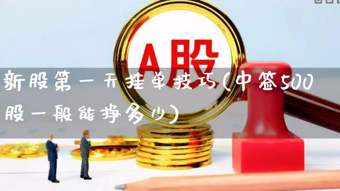 新股第一天挂单技巧(中签500股一般能挣多少)_https://www.hhem8.com_深交所_第1张