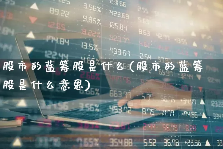 股市的蓝筹股是什么(股市的蓝筹股是什么意思)_https://www.hhem8.com_上交所_第1张