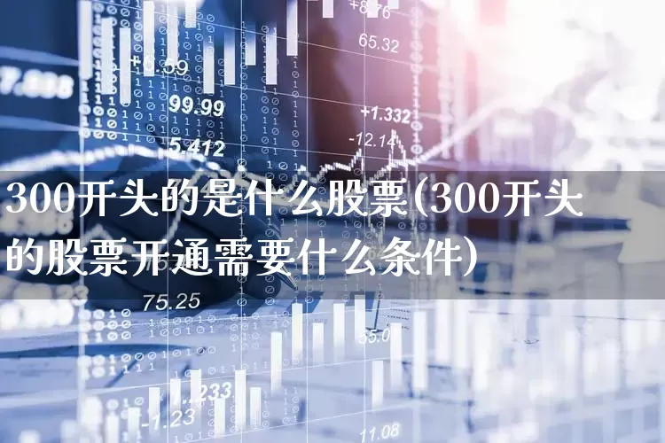 300开头的是什么股票(300开头的股票开通需要什么条件)_https://www.hhem8.com_深交所_第1张