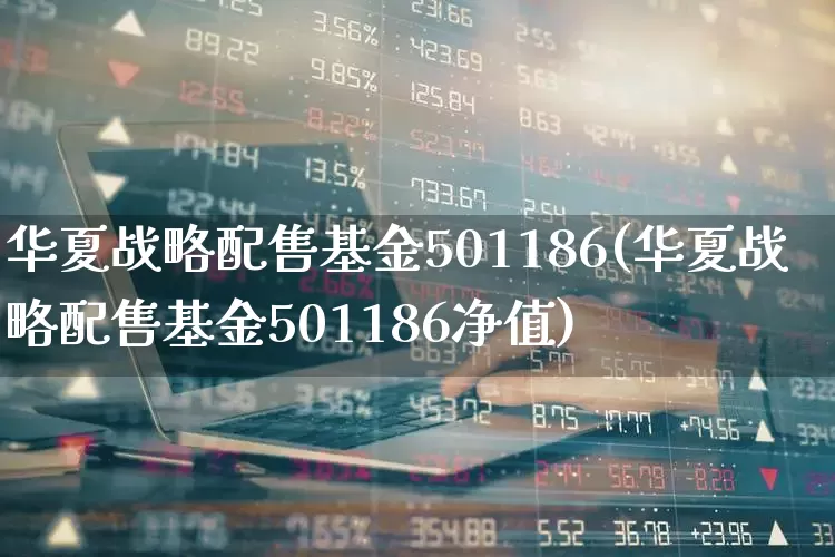 华夏战略配售基金501186(华夏战略配售基金501186净值)_https://www.hhem8.com_北交所_第1张