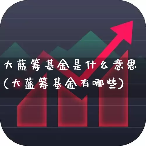 大蓝筹基金是什么意思(大蓝筹基金有哪些)_https://www.hhem8.com_创业板_第1张