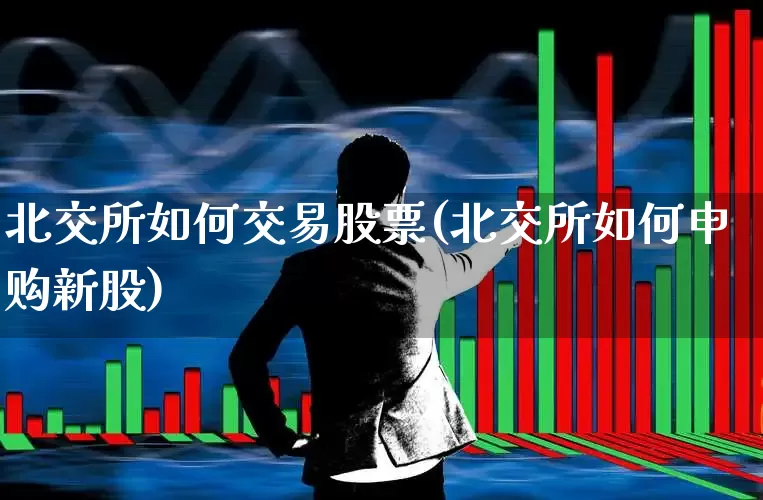 北交所如何交易股票(北交所如何申购新股)_https://www.hhem8.com_创业板_第1张