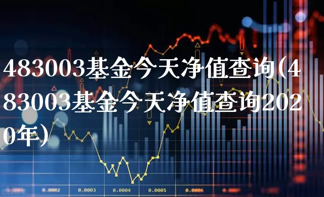 483003基金今天净值查询(483003基金今天净值查询2020年)_https://www.hhem8.com_上交所_第1张