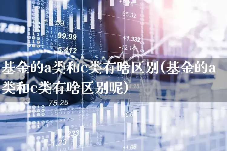 基金的a类和c类有啥区别(基金的a类和c类有啥区别呢)_https://www.hhem8.com_科创板_第1张