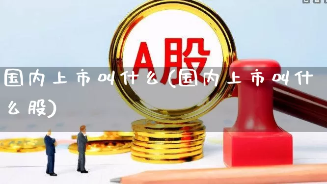 国内上市叫什么(国内上市叫什么股)_https://www.hhem8.com_科创板_第1张