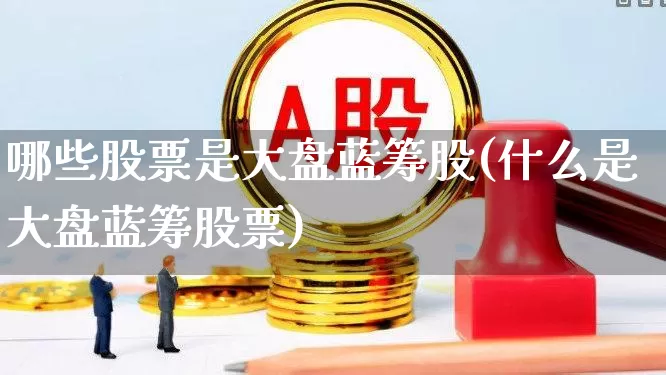 哪些股票是大盘蓝筹股(什么是大盘蓝筹股票)_https://www.hhem8.com_创业板_第1张