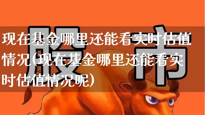 现在基金哪里还能看实时估值情况(现在基金哪里还能看实时估值情况呢)_https://www.hhem8.com_科创板_第1张