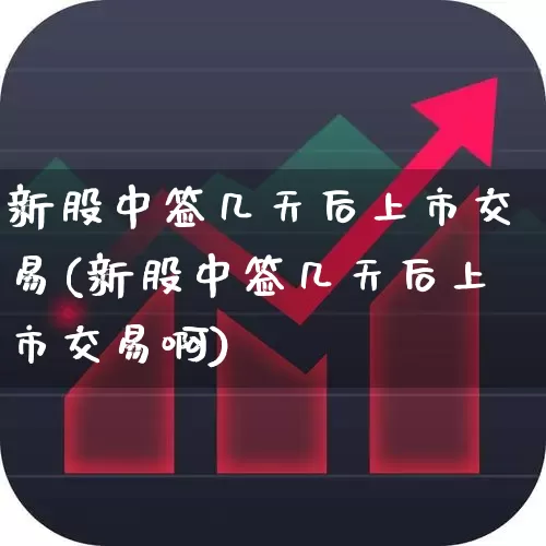 新股中签几天后上市交易(新股中签几天后上市交易啊)_https://www.hhem8.com_北交所_第1张