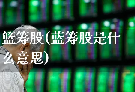 篮筹股(蓝筹股是什么意思)_https://www.hhem8.com_北交所_第1张