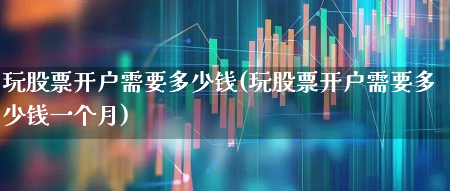 玩股票开户需要多少钱(玩股票开户需要多少钱一个月)_https://www.hhem8.com_科创板_第1张