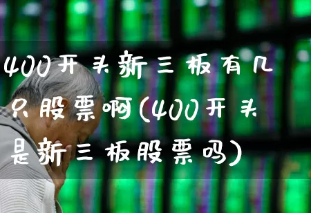 400开头新三板有几只股票啊(400开头是新三板股票吗)_https://www.hhem8.com_深交所_第1张