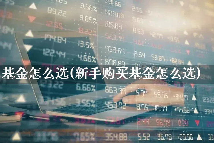 基金怎么选(新手购买基金怎么选)_https://www.hhem8.com_深交所_第1张