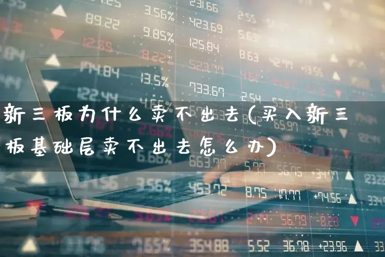 新三板为什么卖不出去(买入新三板基础层卖不出去怎么办)_https://www.hhem8.com_上交所_第1张