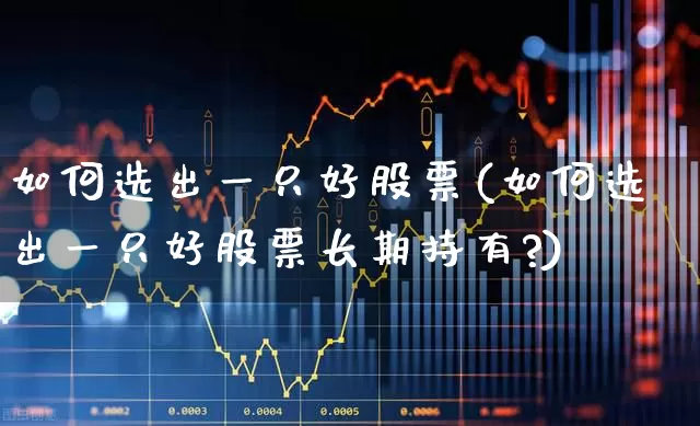 如何选出一只好股票(如何选出一只好股票长期持有?)_https://www.hhem8.com_科创板_第1张