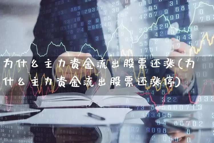 为什么主力资金流出股票还涨(为什么主力资金流出股票还涨停)_https://www.hhem8.com_创业板_第1张