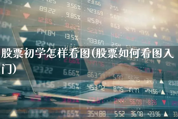 股票初学怎样看图(股票如何看图入门)_https://www.hhem8.com_上交所_第1张