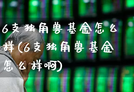 6支独角兽基金怎么样(6支独角兽基金怎么样啊)_https://www.hhem8.com_创业板_第1张