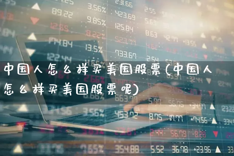 中国人怎么样买美国股票(中国人怎么样买美国股票呢)_https://www.hhem8.com_科创板_第1张